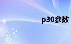 p30参数（p3100）