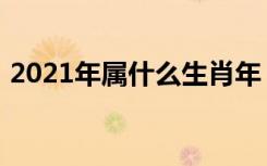 2021年属什么生肖年（2021年属什么生肖）