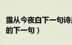 露从今夜白下一句诗是什么（露从今夜白诗句的下一句）