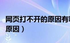 网页打不开的原因有哪些（网页打不开是什么原因）