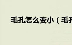 毛孔怎么变小（毛孔变小的6个小妙招）