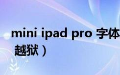 mini ipad pro 字体大小一样吗（mini ipad 越狱）