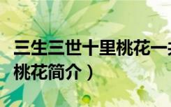 三生三世十里桃花一共多少集（三生三世十里桃花简介）