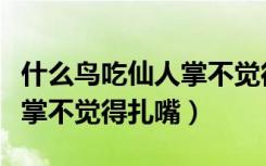 什么鸟吃仙人掌不觉得扎嘴（什么动物吃仙人掌不觉得扎嘴）