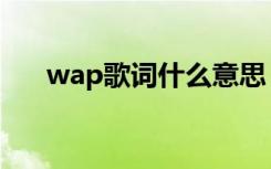 wap歌词什么意思（wap歌词的意思）