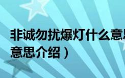 非诚勿扰爆灯什么意思（关于非诚勿扰爆灯的意思介绍）