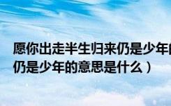 愿你出走半生归来仍是少年的意思是啥（愿你出走半生归来仍是少年的意思是什么）