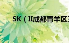 SK（II成都青羊区王府井百货专卖店）