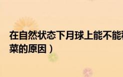 在自然状态下月球上能不能种菜（在自然状态下月球不能种菜的原因）