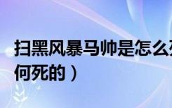 扫黑风暴马帅是怎么死的（扫黑风暴马帅是如何死的）