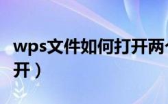 wps文件如何打开两个窗口（wps文件如何打开）