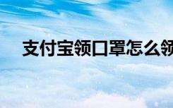 支付宝领口罩怎么领（支付宝领红包码）