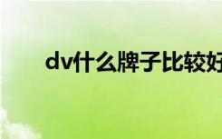 dv什么牌子比较好（dv什么品牌好）