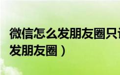 微信怎么发朋友圈只让一个人看到（微信怎么发朋友圈）