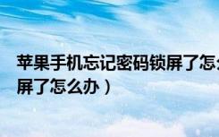 苹果手机忘记密码锁屏了怎么办解开（苹果手机忘记密码锁屏了怎么办）