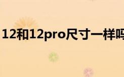 12和12pro尺寸一样吗（12和12pro的区别）