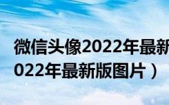 微信头像2022年最新版图片好看（微信头像2022年最新版图片）