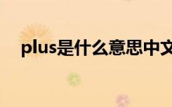 plus是什么意思中文（plus是什么意思）