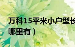 万科15平米小户型长沙（万科15平米小户型哪里有）