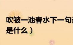 吹皱一池春水下一句话（吹皱一池春水下一句是什么）