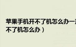 苹果手机开不了机怎么办一直黑屏充不进去电（苹果手机开不了机怎么办）