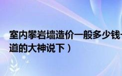 室内攀岩墙造价一般多少钱一平方米（室内攀岩墙多少钱知道的大神说下）