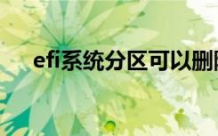 efi系统分区可以删除吗（efi系统分区）