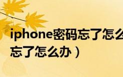 iphone密码忘了怎么办不刷机（iphone密码忘了怎么办）