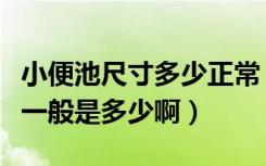 小便池尺寸多少正常（公共卫生间小便池尺寸一般是多少啊）