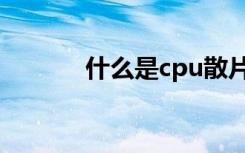 什么是cpu散片（什么是cpu）