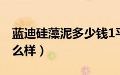 蓝迪硅藻泥多少钱1平米（蓝迪盛世硅藻泥怎么样）