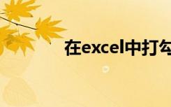 在excel中打勾（在excel中）