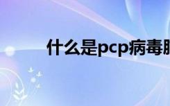 什么是pcp病毒肺炎（什么是PC）