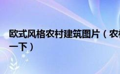 欧式风格农村建筑图片（农村欧式别墅建筑风格特点谁能说一下）