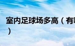 室内足球场多高（有哪位知道室内足球场尺寸）