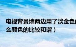 电视背景墙两边用了淡金色的镜面马赛克（中间的壁纸用什么颜色的比较和谐）