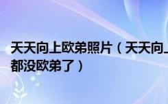 天天向上欧弟照片（天天向上欧弟被打马赛克了,是不是以后都没欧弟了）