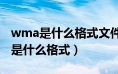 wma是什么格式文件在手机上怎么听（wma是什么格式）