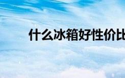 什么冰箱好性价比高（什么冰箱好）