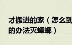 才搬进的家（怎么到处都是蟑螂啊 有什么好的办法灭蟑螂）