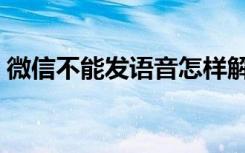 微信不能发语音怎样解决（微信不能发语音）