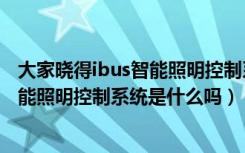 大家晓得ibus智能照明控制系统是什么吗（大家晓得ibus智能照明控制系统是什么吗）