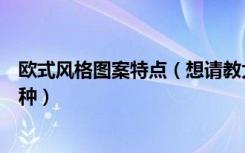 欧式风格图案特点（想请教大家谁能说下欧式风格纹样有几种）