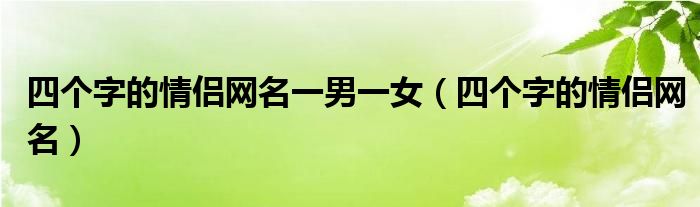 四個字的情侶網名一男一女四個字的情侶網名