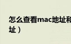 怎么查看mac地址和ip码（怎么查看mac地址）