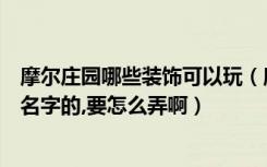 摩尔庄园哪些装饰可以玩（摩尔庄园里的云朵之翼用来装饰名字的,要怎么弄啊）