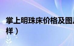 掌上明珠床价格及图片（掌上明珠床价格怎么样）