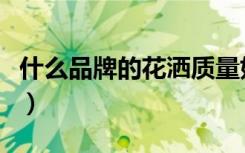 什么品牌的花洒质量好（节水花洒什么牌子好）