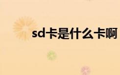 sd卡是什么卡啊（sd卡是什么卡）