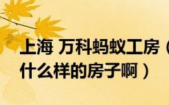 上海 万科蚂蚁工房（万科的“蚂蚁工房”是什么样的房子啊）